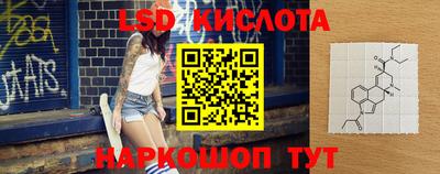 прущие грибы Конаково