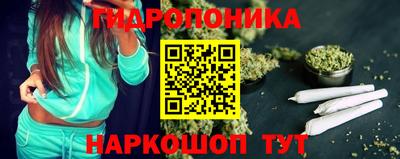 прущие грибы Конаково