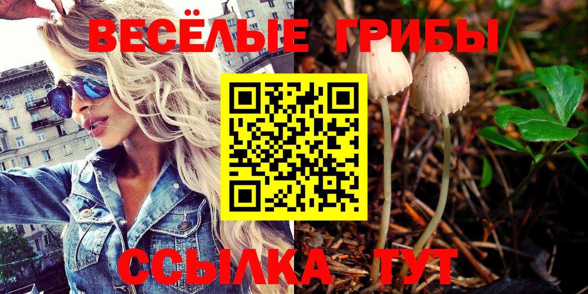 где найти   Галлюциногенные грибы Psilocybe  Краснодар  Вход с VPN  Галлюциногенные грибы мухоморы 