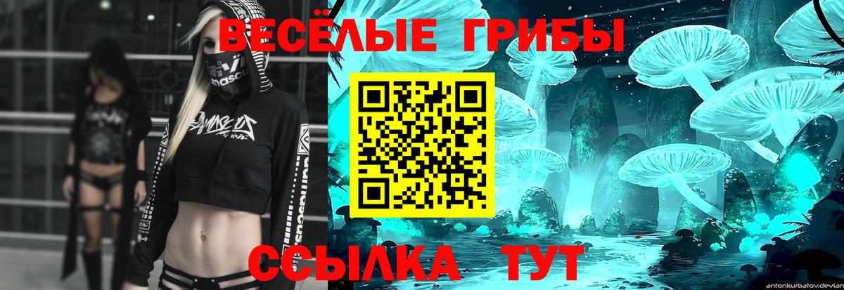 Псилоцибиновые грибы GOLDEN TEACHER Краснодар